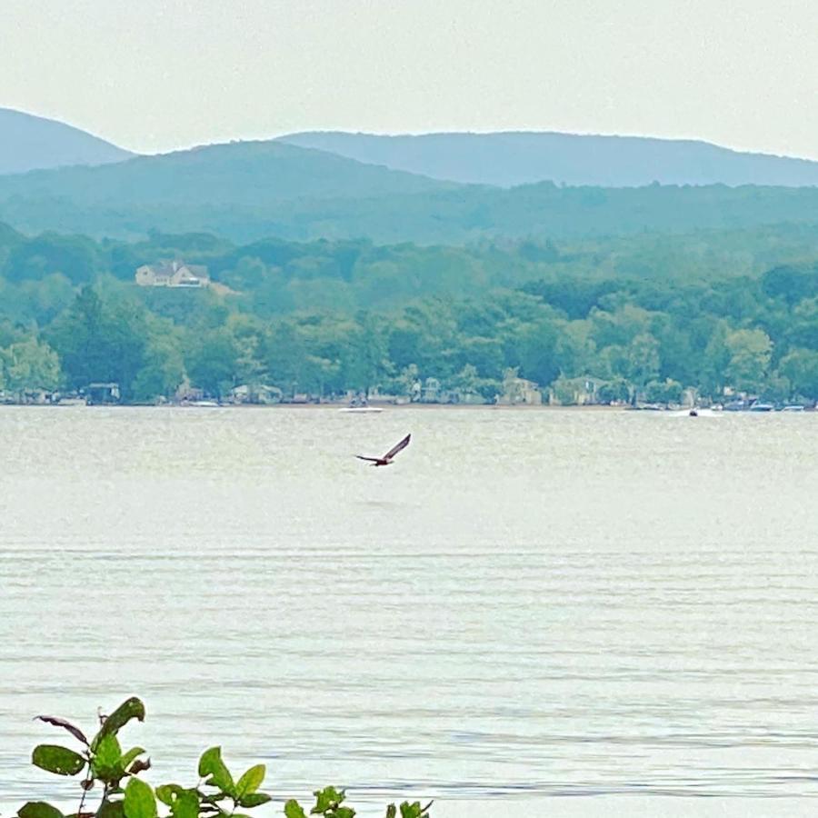 Anchorage At The Lake ティルトン エクステリア 写真